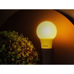 Lâmpada Led Amarela 5w Tkl Colors (anti-inseto) - 3