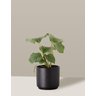 Vaso Cachepô de Cerâmica para Plantas Preto PEQ - 1