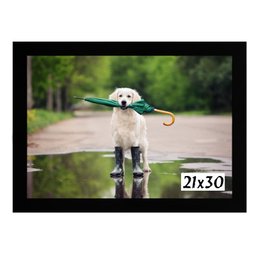 Kit 10 Molduras Porta Diploma Certificado A4 21x30 Branco - 3 Kit 10 Molduras Porta Diploma Certificado A4 21x30 Branco - 3