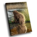 Ver imagem 1 de Quadro Leão Natureza -- Br Artes