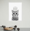 Ver imagem 2 de Quadro Banheiro Gatinho Papel Higiênico 45x34cm - com Vidro:moldura Branca