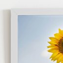 Ver imagem 2 de Quadro Girassol Flor Fotografia Céu Moldura Branca 60x40cm