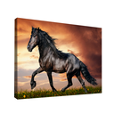 Ver imagem 1 de Quadro Cavalo Rei -- BR ARTES