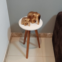 Ver imagem 5 de Mesa de Canto de Sala e Apoio Lateral Eiffel Branca - Demoglass