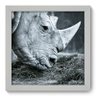 Quadro com Moldura - 22x22 - Rinoceronte - 001qds - N1 - 1