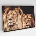 Ver imagem 4 de Quadro Decorativo em Canvas Casal de Leões TaColado Moldura Flutuante 4,5cm Freijó 120 x 80cm