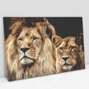 Ver imagem 2 de Quadro Decorativo em Canvas Casal de Leões TaColado Moldura Flutuante 4,5cm Freijó 120 x 80cm