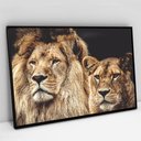 Ver imagem 6 de Quadro Decorativo em Canvas Casal de Leões TaColado Moldura Flutuante 4,5cm Freijó 120 x 80cm