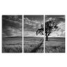 Quadro decorativo Paisagem Árvore em Preto e Branco 3 Peças - 3