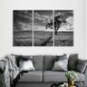 Quadro decorativo Paisagem Árvore em Preto e Branco 3 Peças - 1