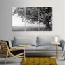 Quadro Árvore Solitária Paisagem Preto e Branco em Tecido - 2