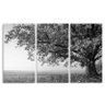 Quadro Árvore Solitária Paisagem Preto e Branco em Tecido - 3