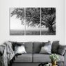 Quadro Árvore Solitária Paisagem Preto e Branco em Tecido - 1