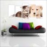 Quadro Decorativo Pet Shop Cão e Gato Mosaico Com 5 Peças - 1