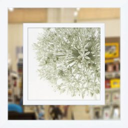 Quadro com Moldura Branca Decorativo com Espelho Floral 90x90cm - DP1602 - 1