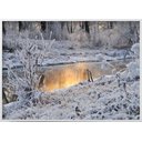 Ver imagem 1 de Quadro Decorativo Paisagem Inverno Floresta Branca 140x100cm