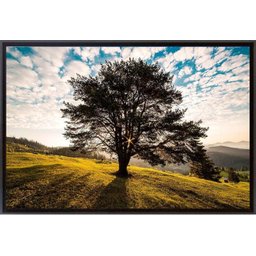 Quadro Decorativo Tela Emoldurada Montanha Romênia 90x60cm - 1 Quadro Decorativo Tela Emoldurada Montanha Romênia 90x60cm - 1