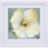 Quadro Decorativo Flor Papoula Branca 40x40cm - 1