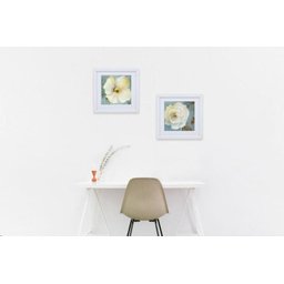 Quadro Decorativo Flor Papoula Branca 40x40cm - 2