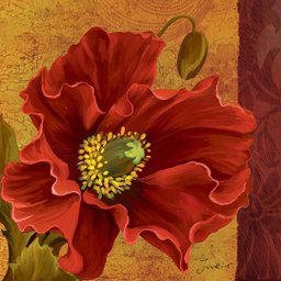 Quadro Tela Decorativa Flor Papoula Vermelha 60x60cm - 1 Quadro Tela Decorativa Flor Papoula Vermelha 60x60cm - 1