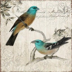 Quadro Tela Decorativa Casal de Pássaros 50x50cm - 1 Quadro Tela Decorativa Casal de Pássaros 50x50cm - 1