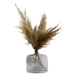 Garrafa de Vidro Arranjo Floral Flor Seca Capim de Pampas - 1