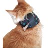 Colar Contenção de Sonda Esofágica Au Au Miau Company - 2