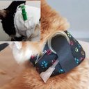 Ver imagem 5 de Colar Contenção de Sonda Esofágica Au Au Miau Company