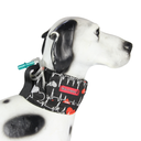 Ver imagem 7 de Colar Contenção de Sonda Esofágica Au Au Miau Company