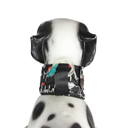 Ver mais imagens de Colar Contenção de Sonda Esofágica Au Au Miau Company