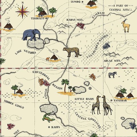Papel de Parede Dzmd-9092 Mapa Safari