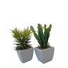 Kit 2 arranjos suculentas em vaso de cerâmica para enfeites - 3