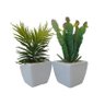 Kit 2 arranjos suculentas em vaso de cerâmica para enfeites - 1