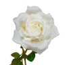 Kit 6 Rosas Brancas artificiais em Silicone super delicada - 1