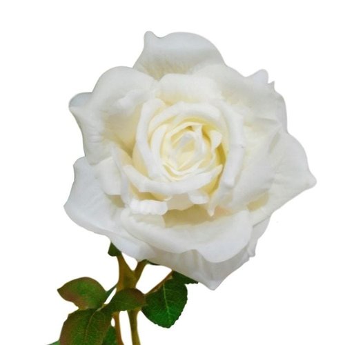 Kit 6 Rosas Brancas artificiais em Silicone super delicada | MadeiraMadeira