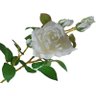 Kit 6 Rosas Brancas artificiais em Silicone super delicada - 3