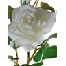 Kit 6 Rosas Brancas artificiais em Silicone super delicada - 4