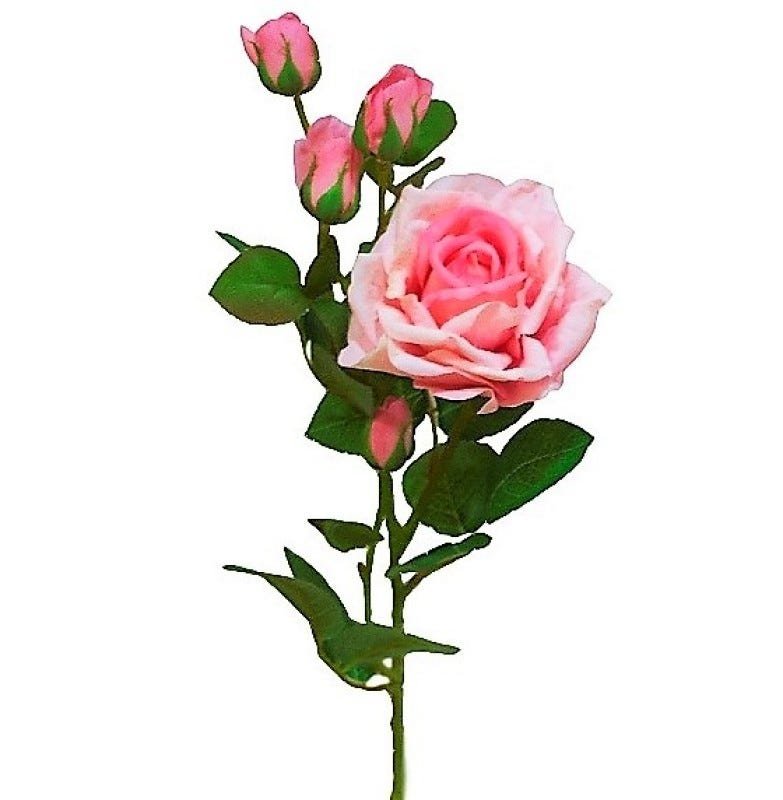 Kit 6 Rosas Em Silicone toque Real Cor Rosa | MadeiraMadeira