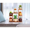 Suporte de Mesa Pequeno para Plantas com 7 Níveis, Prateleira para Plantas na Cor Marrom - 5