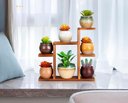 Ver imagem 5 de Suporte de Mesa Pequeno para Plantas com 7 Níveis, Prateleira para Plantas na Cor Marrom