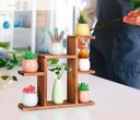 Ver imagem 3 de Suporte de Mesa Pequeno para Plantas com 7 Níveis, Prateleira para Plantas na Cor Marrom