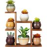 Suporte de Mesa Pequeno para Plantas com 7 Níveis, Prateleira para Plantas na Cor Marrom - 1