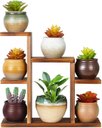 Ver imagem 1 de Suporte de Mesa Pequeno para Plantas com 7 Níveis, Prateleira para Plantas na Cor Marrom