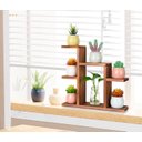 Ver imagem 4 de Suporte de Mesa Pequeno para Plantas com 7 Níveis, Prateleira para Plantas na Cor Marrom