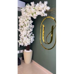 Cerejeira Arvore Instagramavel Branca Flores Delicadas 2mt - 1