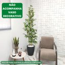 Ver imagem 2 de Planta Artificial Bambu 2 Metros Grande sem Vaso Decorativo