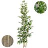 Planta Artificial Bambu 2 Metros Grande sem Vaso Decorativo - 1