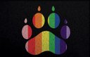 Ver imagem 2 de Capacho Divertido Lgbt Pata