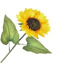 Ver imagem 3 de Haste Girassol Cetim Amarelo 60x15cm