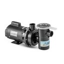 Ver imagem 1 de Motobomba Nautilus 1/3 Cv com Pré-filtro para Piscina